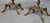 English Walnut Inlaid Wine Tables, 1920, Set of 2 For Sale - Image 4 of 9