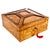 Large Antique Victorian Burr Maple and Burr Walnut Casket, 19th Century For Sale - Image 10 of 10