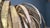 Brass Palm Tree Floor Lamp from Maison Jansen, 1970s For Sale - Image 14 of 18