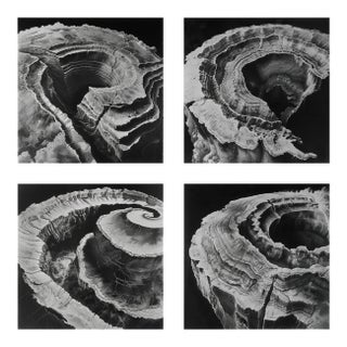 Relief Landscapes – Set of Four Fine Art Prints For Sale