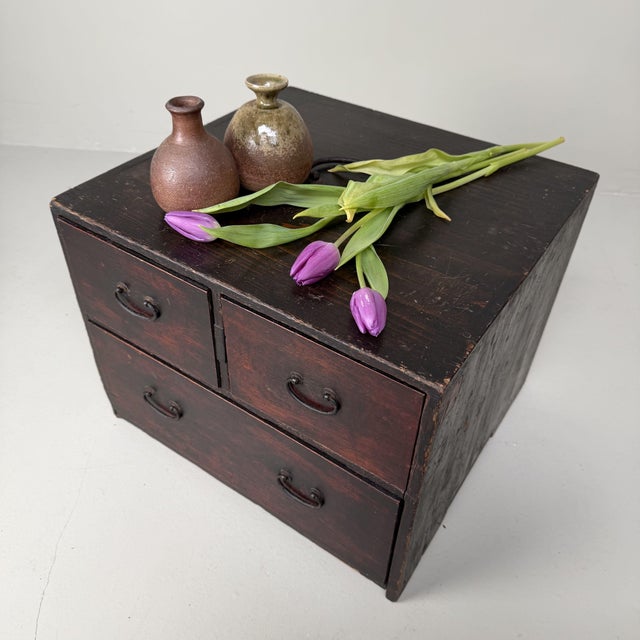 Antique Japanese Bunko Drawer Cabinet with Hidden Compartment, 1900s For Sale - Image 9 of 11