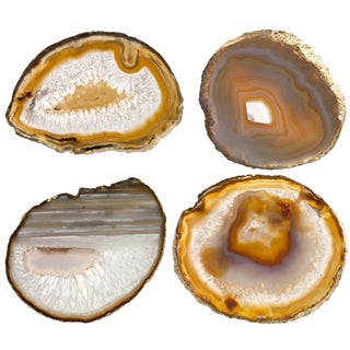 Agate Slice Coasters - Set of 4 For Sale