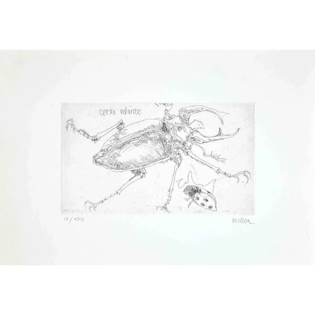 Insects is an etching realized by sergio barletta in 1974. Hand-signed in pencil on the lower right. Numbered on the lower...