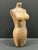 Carved Solid Wood Late 20th Century Female Torso Sculpture #T978 For Sale In New York - Image 6 of 10