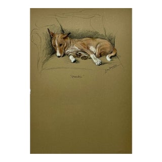 Basenji Dog by Lucy Dawson, 1946 For Sale