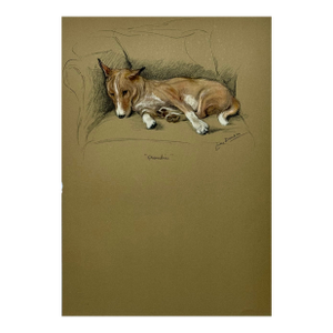 Basenji Dog by Lucy Dawson, 1946