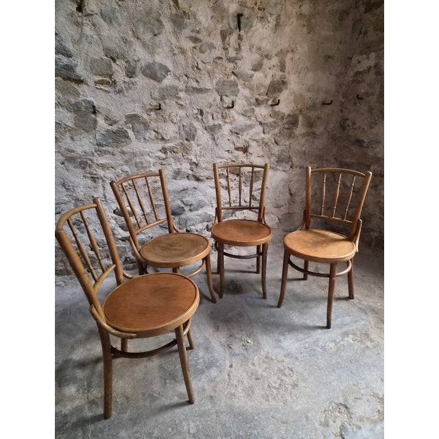 Vintage Bentwood Bistro Chairs from Fischel, Czechoslovakia, 1940s, Set of 4 For Sale - Image 11 of 18