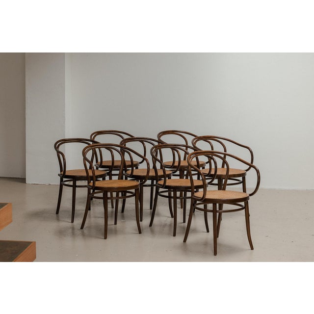 Model 209 Dining Chairs from Thonet, 1960s, Set of 6 For Sale - Image 12 of 13