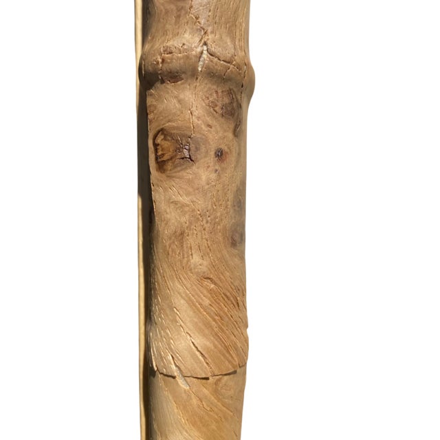 American Antique Herbarium Botanicals, 1897 — Set of 10 For Sale - Image 3 of 17