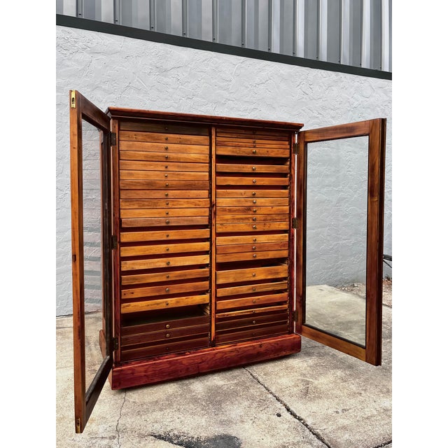 Antique Collector's or Specimen Cabinet | Late 19th Century For Sale In Tampa - Image 6 of 18