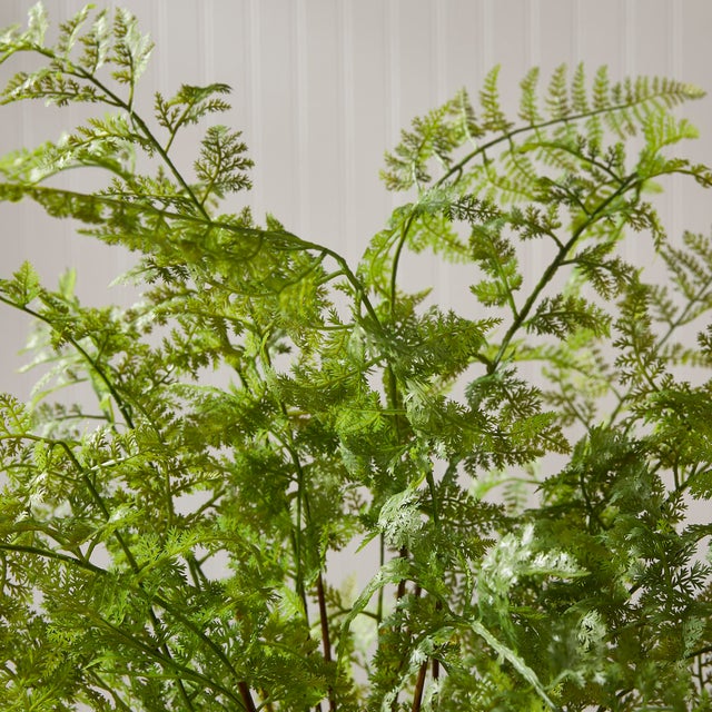 Kenneth Ludwig Chicago Soft Fern Drop-In 36" For Sale - Image 4 of 5