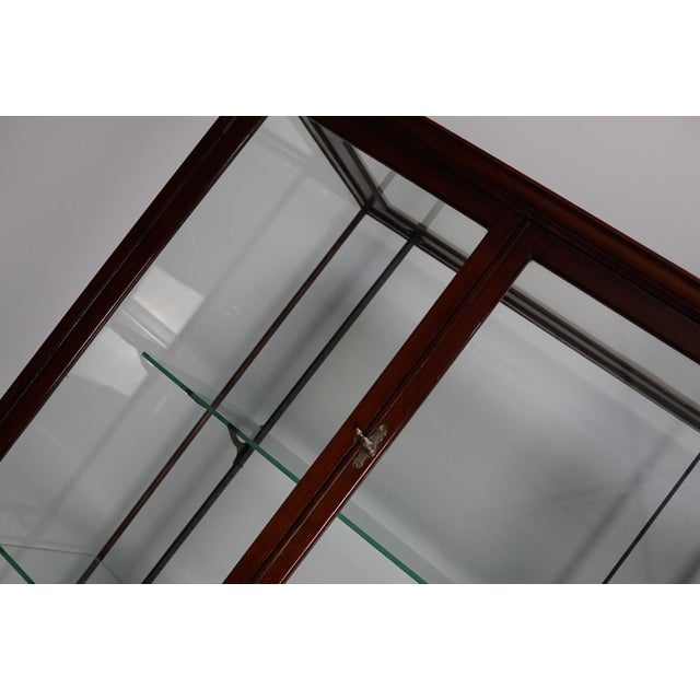 Metal Victorian Mahogany Museum Shop Display Cabinet or Vitrine, Late 19th Century For Sale - Image 7 of 18