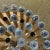 Hollywood Regency Glass and Brass Ceiling Light from Ernst Palme Palwa, Germany, 1970s For Sale - Image 15 of 18