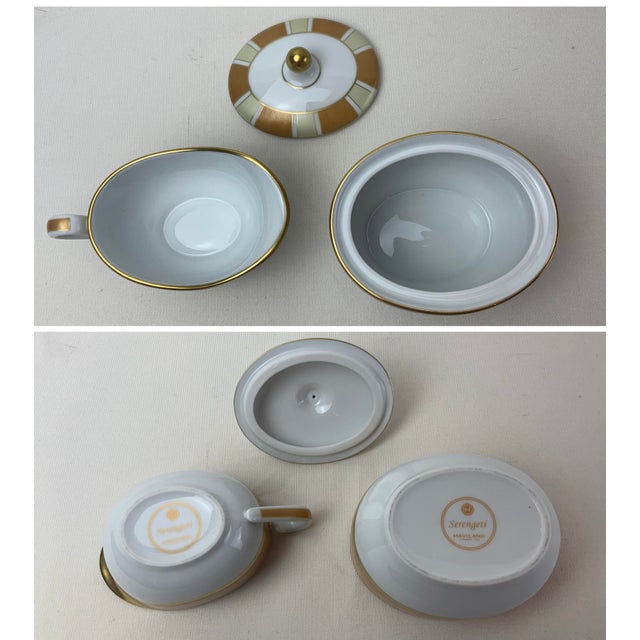 Haviland Tea Service Made in Limoges, France. 19 Pieces in the Serengeti Pattern. For Sale - Image 12 of 12