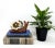 Whimsical and coastal, this vintage folk art snail figurine is crafted from red painted cement and adorned with real...