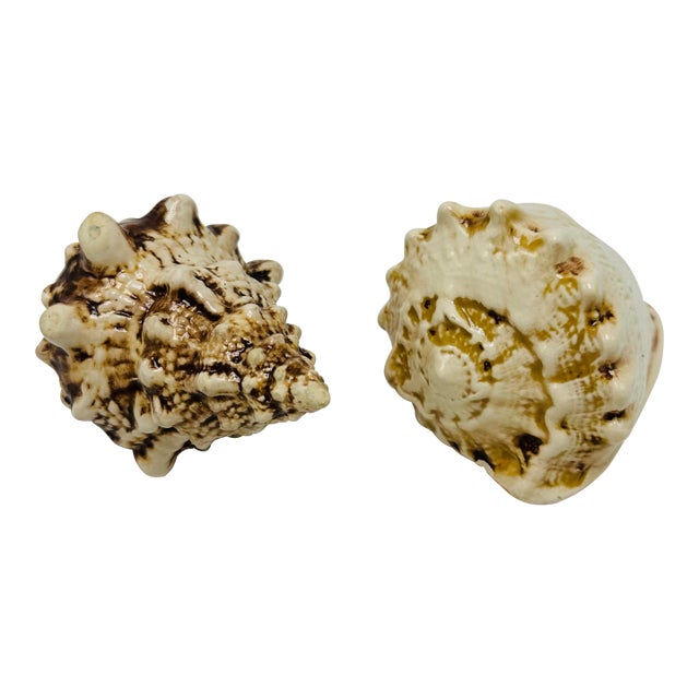 Vintage Ceramic Shells, a Pair For Sale