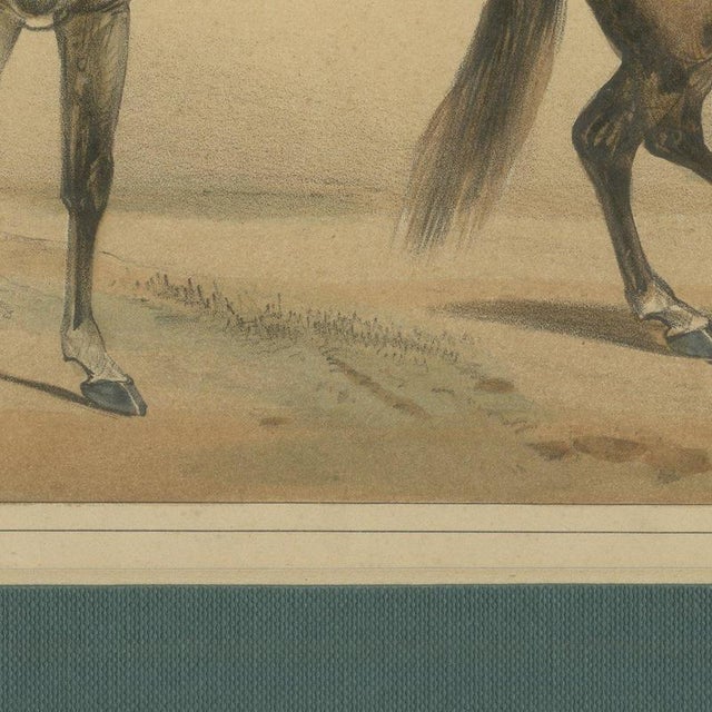 José Rubio Y Villegas, Cuirassier and Lancer, 1861, Lithograph For Sale - Image 9 of 12