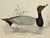 Antique Hand Tinted Bird Print From England Featuring a Black & Brown Pochard - Circa 1886 For Sale - Image 10 of 11
