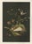 Audsleys the Ornamental Arts of Japan, 1884, Lithograph For Sale - Image 4 of 4