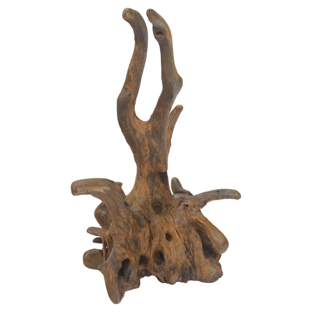 1970s Large 25" Tall Artist Signed Driftwood Root Burl Wood Natural Sculpture For Sale - Image 5 of 12