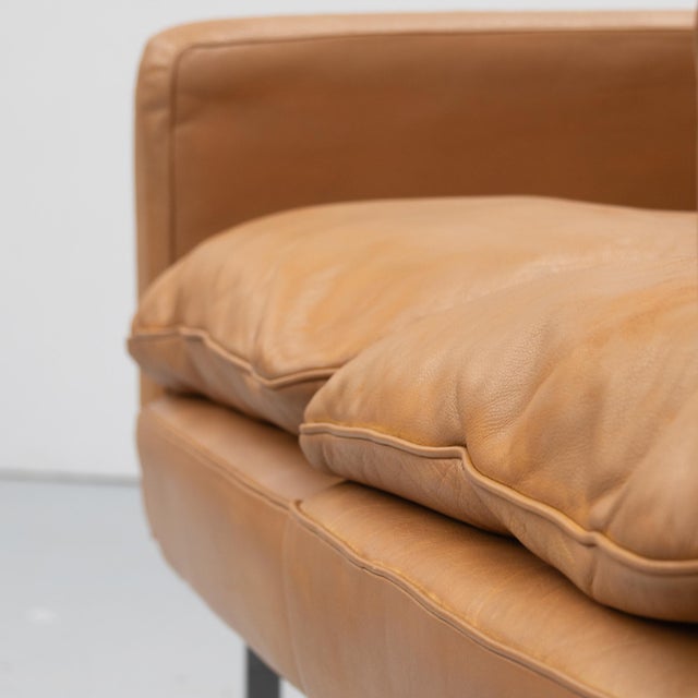 Metal RH-302 2-Seater Sofa by Robert Haussmann for de Sede, 1960s For Sale - Image 7 of 18