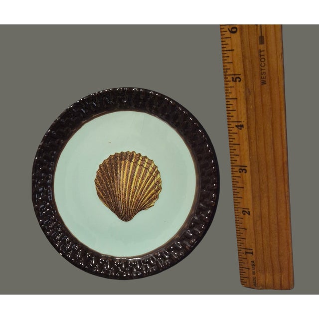 Brown Late 20th Century Coastal Small Sea Shell Mud-Pie Fiji Tidbit Dishes 5'' Diameter - Set of 4 For Sale - Image 8 of 9