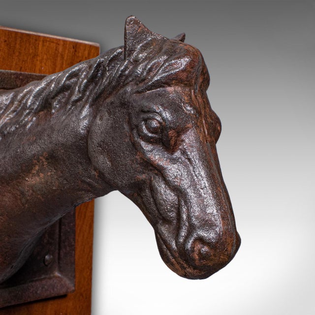Metal Antique Mounted Horse Bust, English, Iron, Coat Hook, Equestrian Tack, Edwardian For Sale - Image 7 of 10