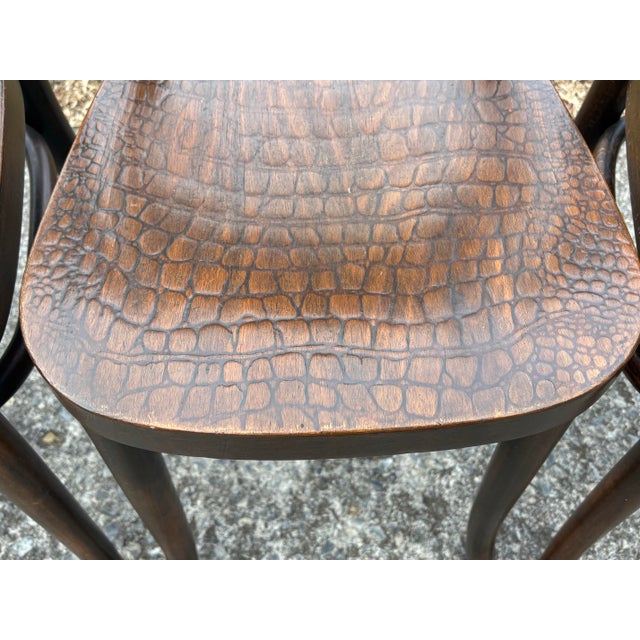 Rustic European 1920s Model 255 Thonet Bentwood Chairs "Crocodile" Pattern, Set of 4 For Sale - Image 3 of 13