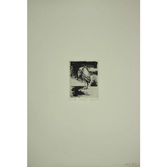 Bird is an original Contemporary artwork realized in 1972 by the italian artist Leo Guida. Original Etching on paper....