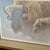Brown Late 20th Century Robert Bateman "Wood Bison" Lithograph Framed, Signed For Sale - Image 8 of 11