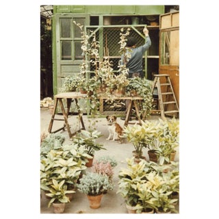 Peter Cornelius, Paris in Color: Flower Market, 1956-1961 / 2023, Archival Pigment Print For Sale