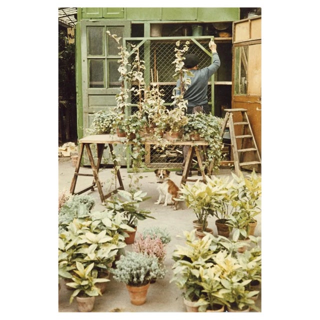 Peter Cornelius, Paris in Color: Flower Market, 1956-1961 / 2023, Archival Pigment Print For Sale