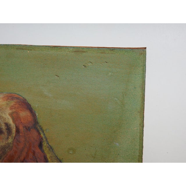 Mid 20th Century Puppy and Kitten Portrait Painting For Sale In Seattle - Image 6 of 7