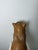 Montelupo Fiorentino Tuscan Artist, Sculpture of a Seated Cat, 19th Century, Terracotta For Sale - Image 18 of 18