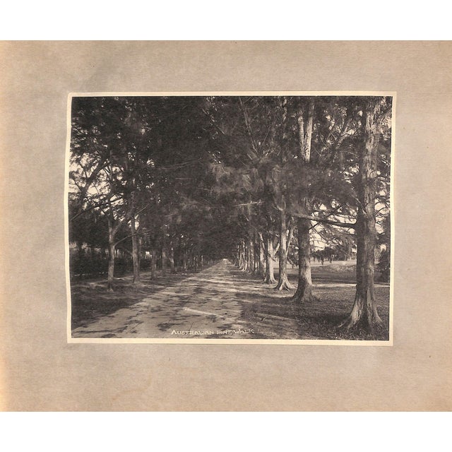 American "Palm Beach Florida" Book, 1910 For Sale - Image 3 of 9