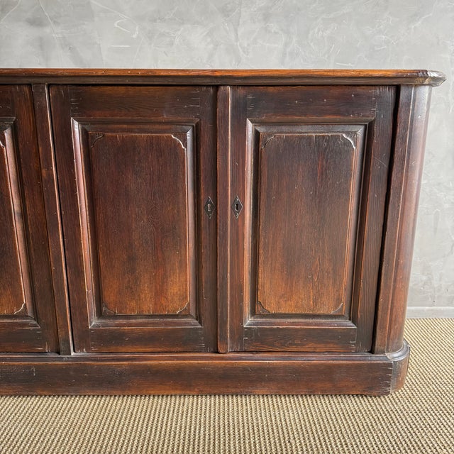 Traditional Bistro IV Reclaimed Elm Wood Cabinet With 4 Doors and Working Locks For Sale - Image 3 of 15
