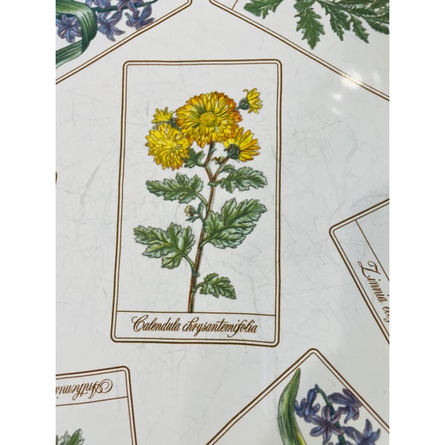 Tiffany and Co. Discontinued Tiffany "Botanical" Floral Plate - 1996 For Sale - Image 4 of 5