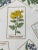 Tiffany and Co. Discontinued Tiffany "Botanical" Floral Plate - 1996 For Sale - Image 4 of 5