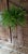 Vintage Gilded Cast Iron Fern/Plant Pedestal Stand Rope and Tassel Detail For Sale - Image 4 of 4