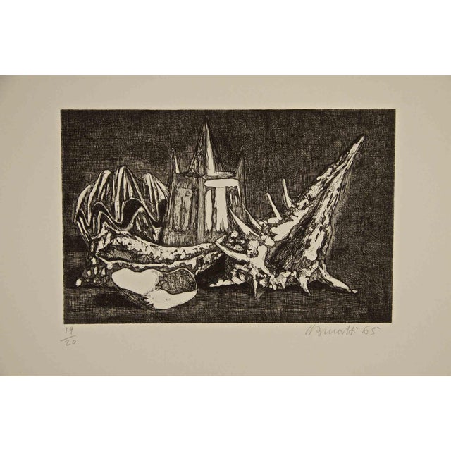 Armando Buratti, Still Life with Shell, Etching, 1965 For Sale