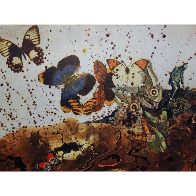 Salvador Dali, Auvergne (SNCF, Suite Papillon), Lithograph For Sale - Image 3 of 7