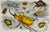 19th Century Antique English Hand Colored Entomological Engraving of Beetles For Sale - Image 4 of 5