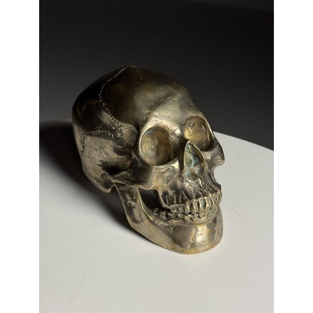 Early 20th Century Bronze Skull For Sale - Image 14 of 14