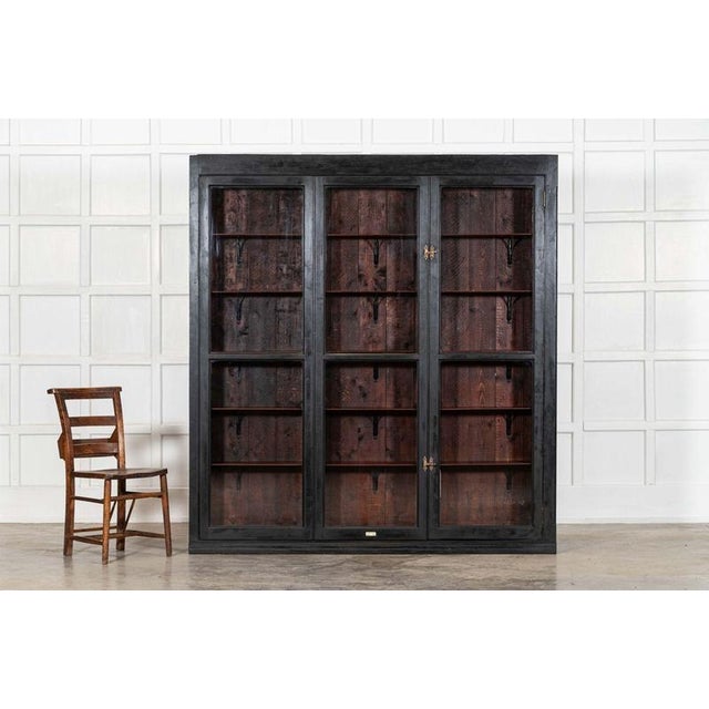 Late 19th Century Large Antique English Ebonised Mahogany Pharmacy Display Cabinet, 1880 For Sale - Image 5 of 13