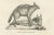 C.C. G. Zool., The Cape Meerkat and Lalandes Civet Hyena, 1836, Lithograph For Sale - Image 6 of 12