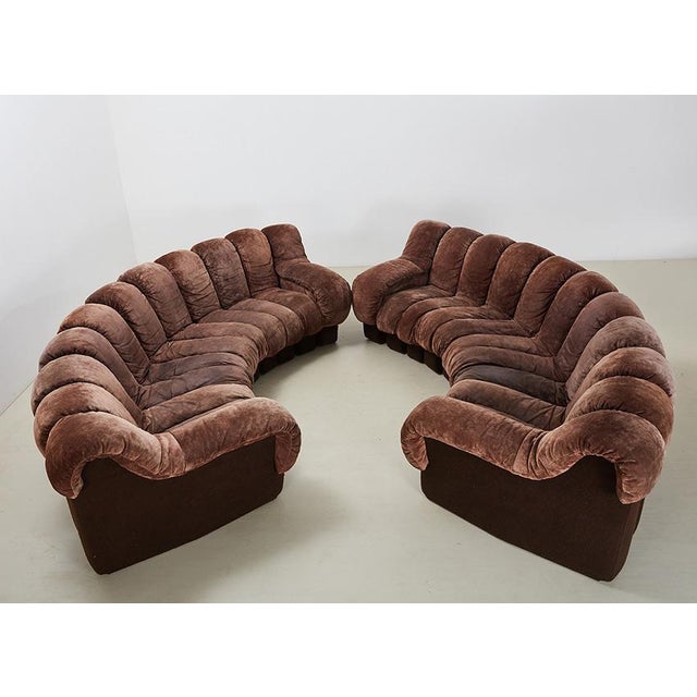 DS-600 Snake Sofa by Ueli Berger for de Sede, Switzerland, 1970s, Set of 22 For Sale - Image 3 of 15