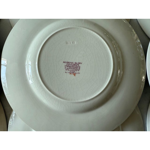 Set of 9 Wedgwood Dinner Plates in the Morning Glory Pattern For Sale - Image 10 of 13
