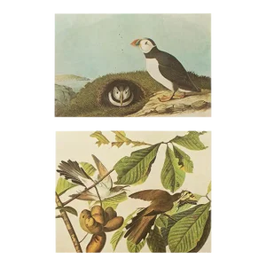 1966 Vintage Cottage Print "Puffin and Yellow-Billed Cuckoo" After John James Audubon
