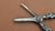 Plated Grape Scissors, 1890s For Sale - Image 7 of 8