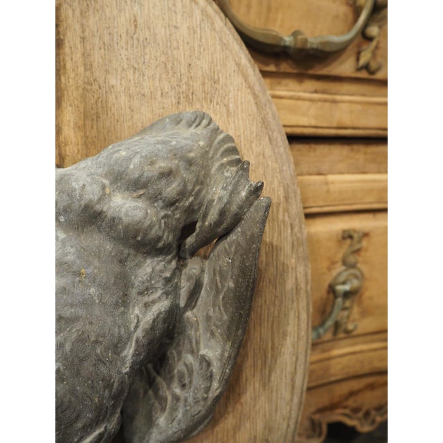 Pair of Circa 1890 Weathered French Hunt Trophies on Natural Oak Oval Panels For Sale - Image 16 of 18